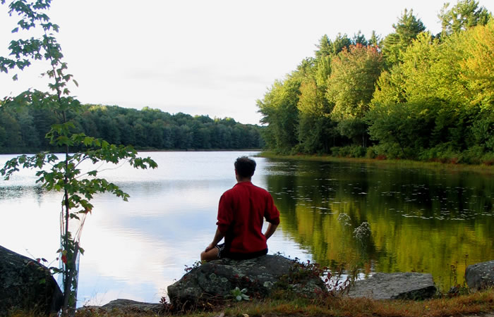Gaston Pond, near IMS: A favorite yogi sitting place.